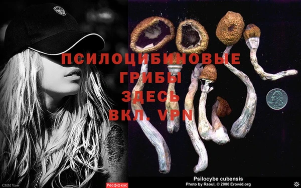 героин Алексин