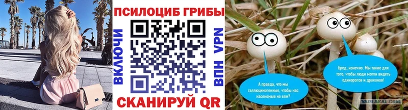Галлюциногенные грибы GOLDEN TEACHER Бердск