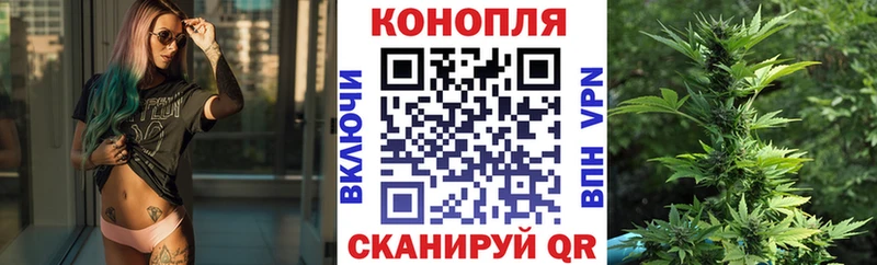 Каннабис OG Kush Бердск